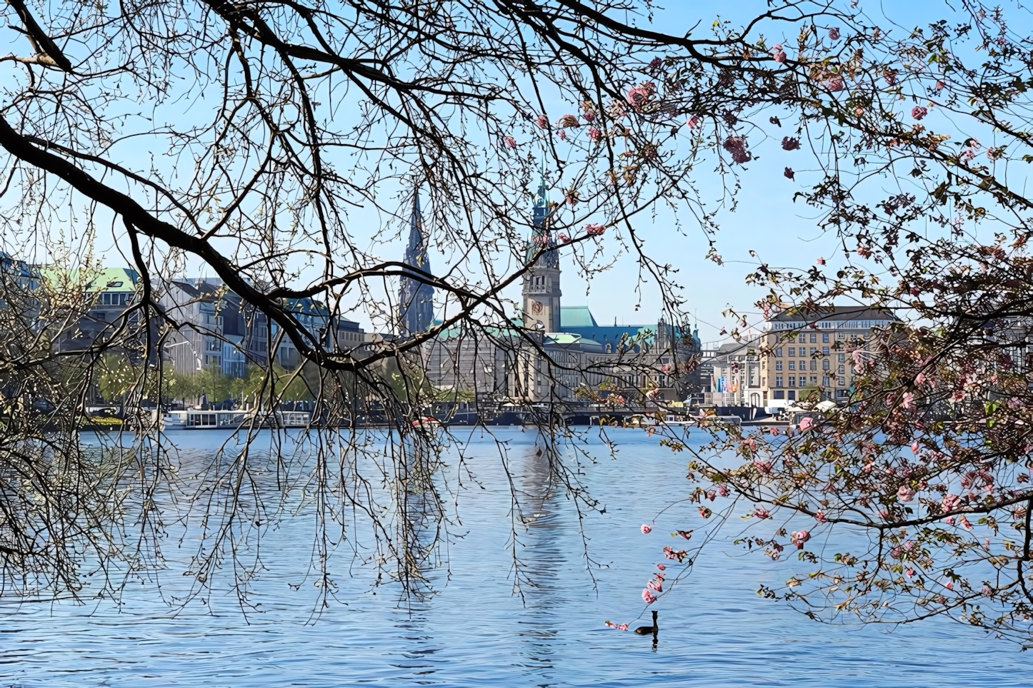 Alster Lake, Author: