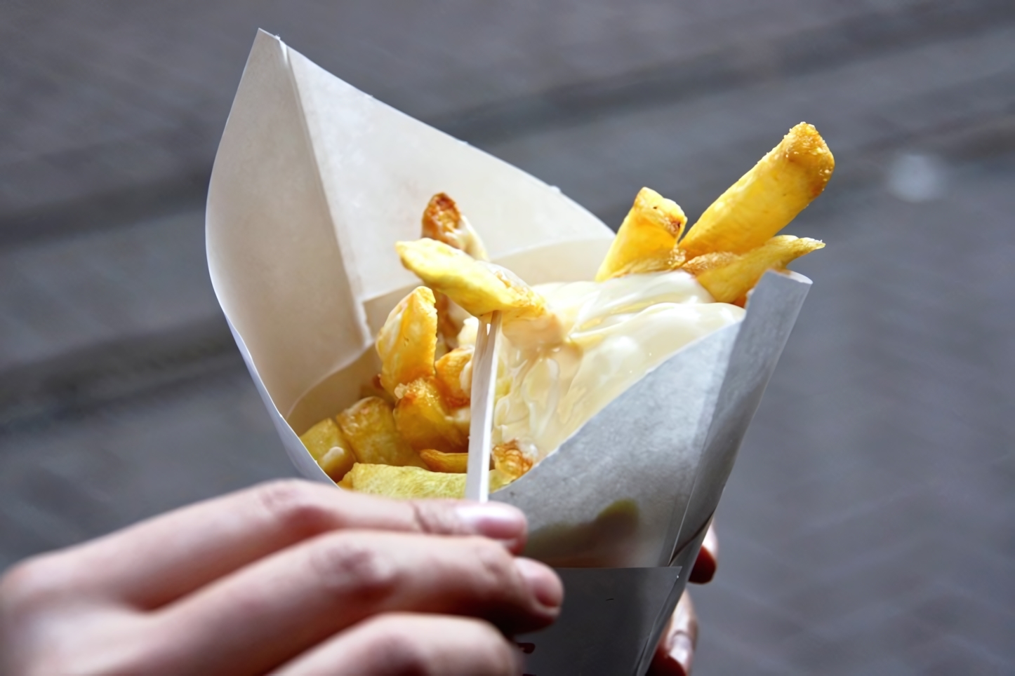 Amsterdam Fries