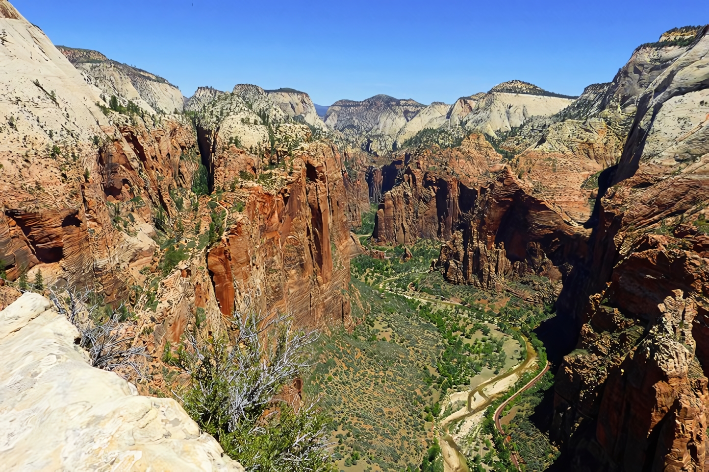 Angels Landing View