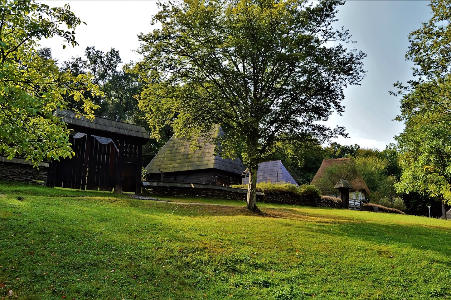 Astra Museum, Sibiu