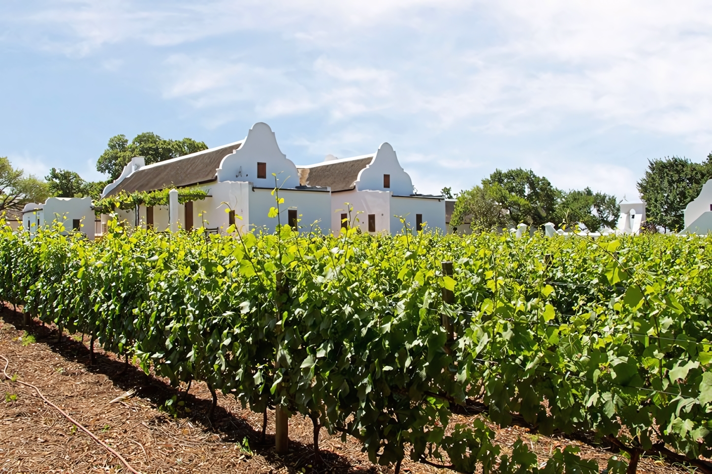 Babylonstoren, Cape Winelands