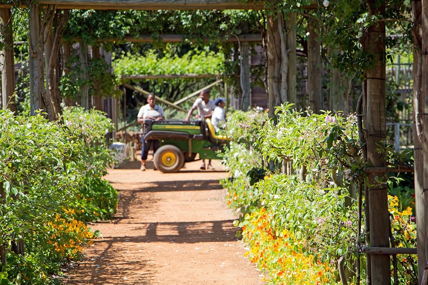 Babylonstoren