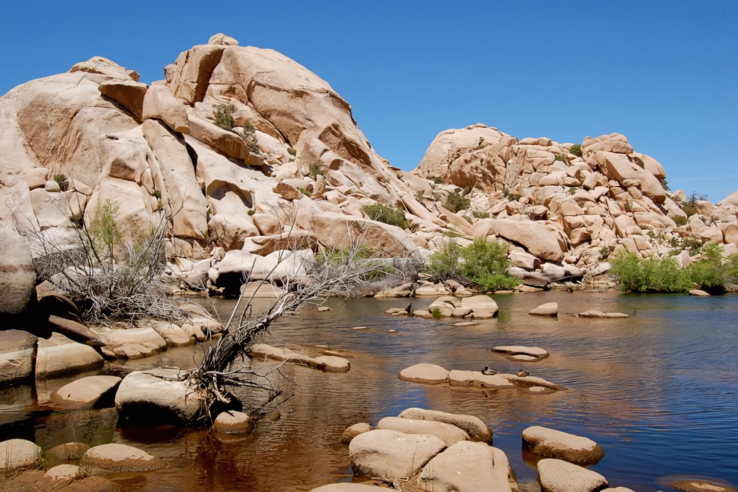 Barker Dam, Joshua Tree