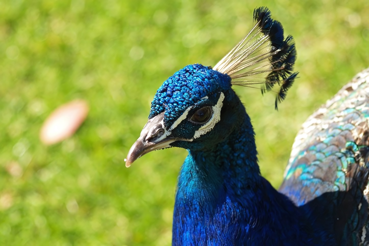 Blackpool ZOO