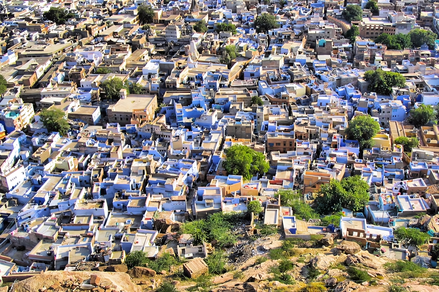 Jodhpur in 24 Hours: Must-See Attractions and Experiences in India's Blue City