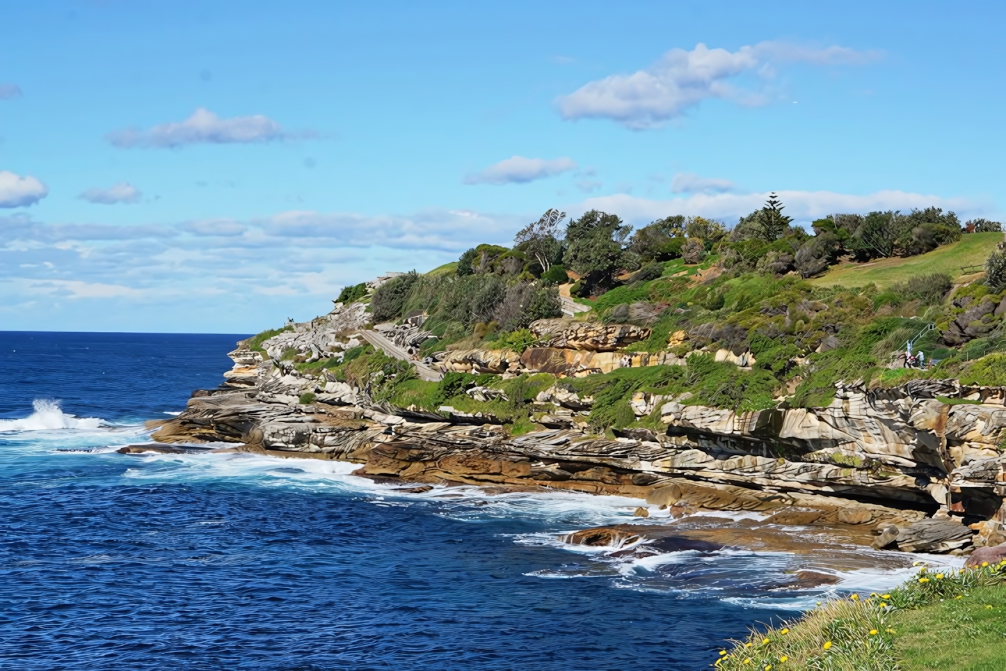 Bondi to Coogee, Sydney