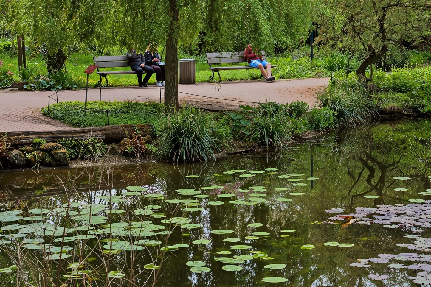 Botanical Garden, Cologne