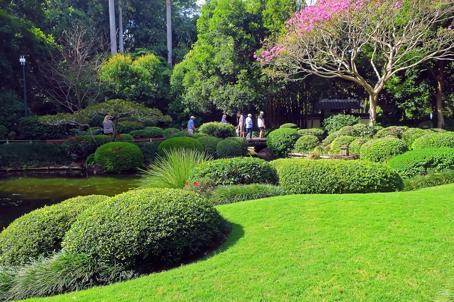 Brisbane Botanical Gardens