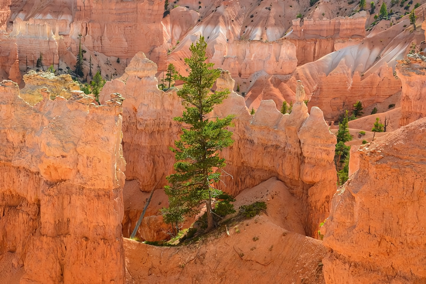 Bryce Canyon in One Day: Essential Sights and Activities for Your National Park Visit