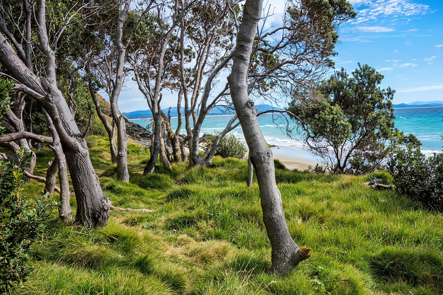 Byron Bay in a Day: Must-See Attractions and Activities in Australia's Coastal Gem