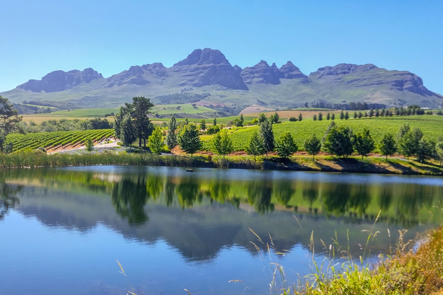 Cape Winelands