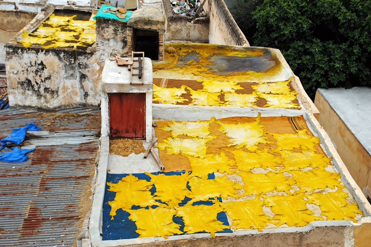 Chouara Tannery