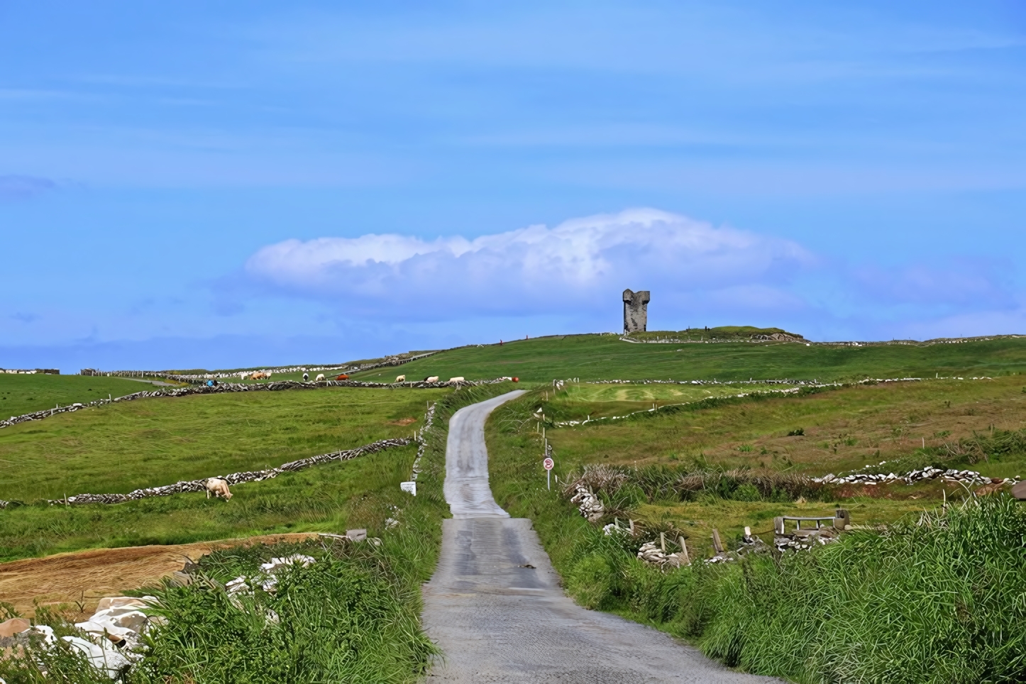 Cliffs of Moher Nature