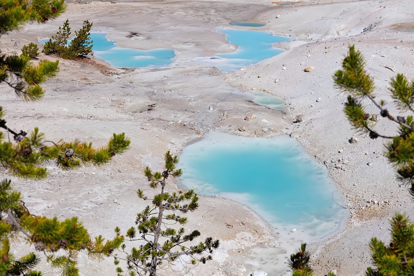 Colorful pools of Norris Geyser Basin, Yellowstone National Park