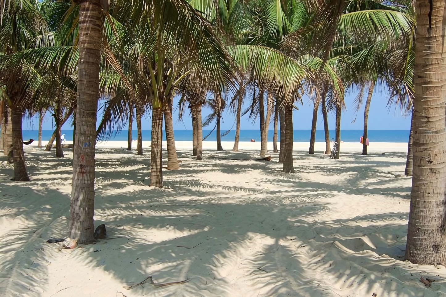 Cua Dai Beach, Hoi An