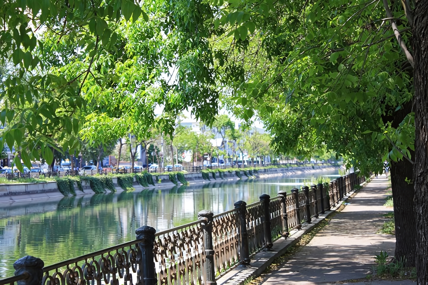 Dambovita River, Bucharest