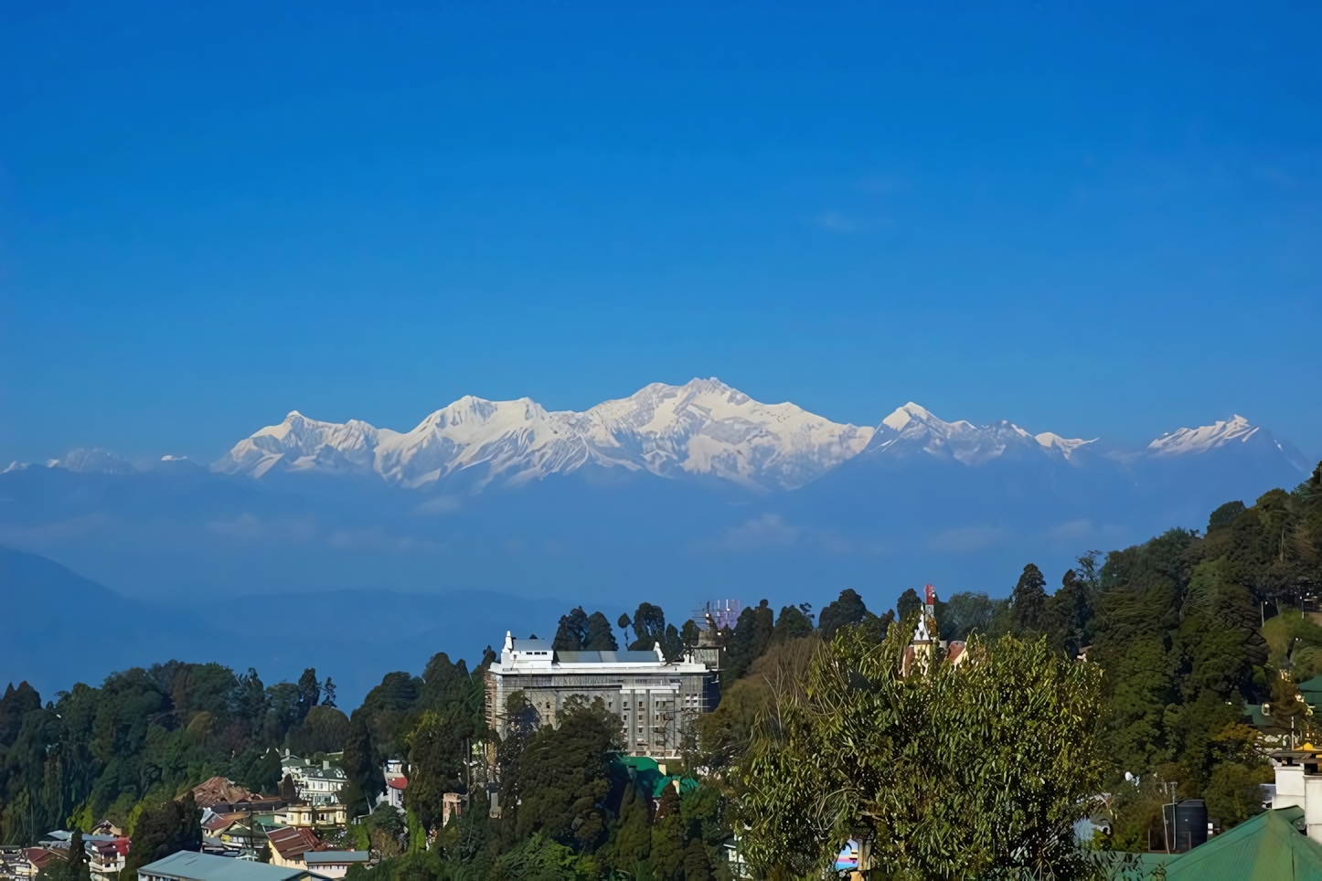 Exploring Darjeeling: A One-Day Guide to India's Tea Capital