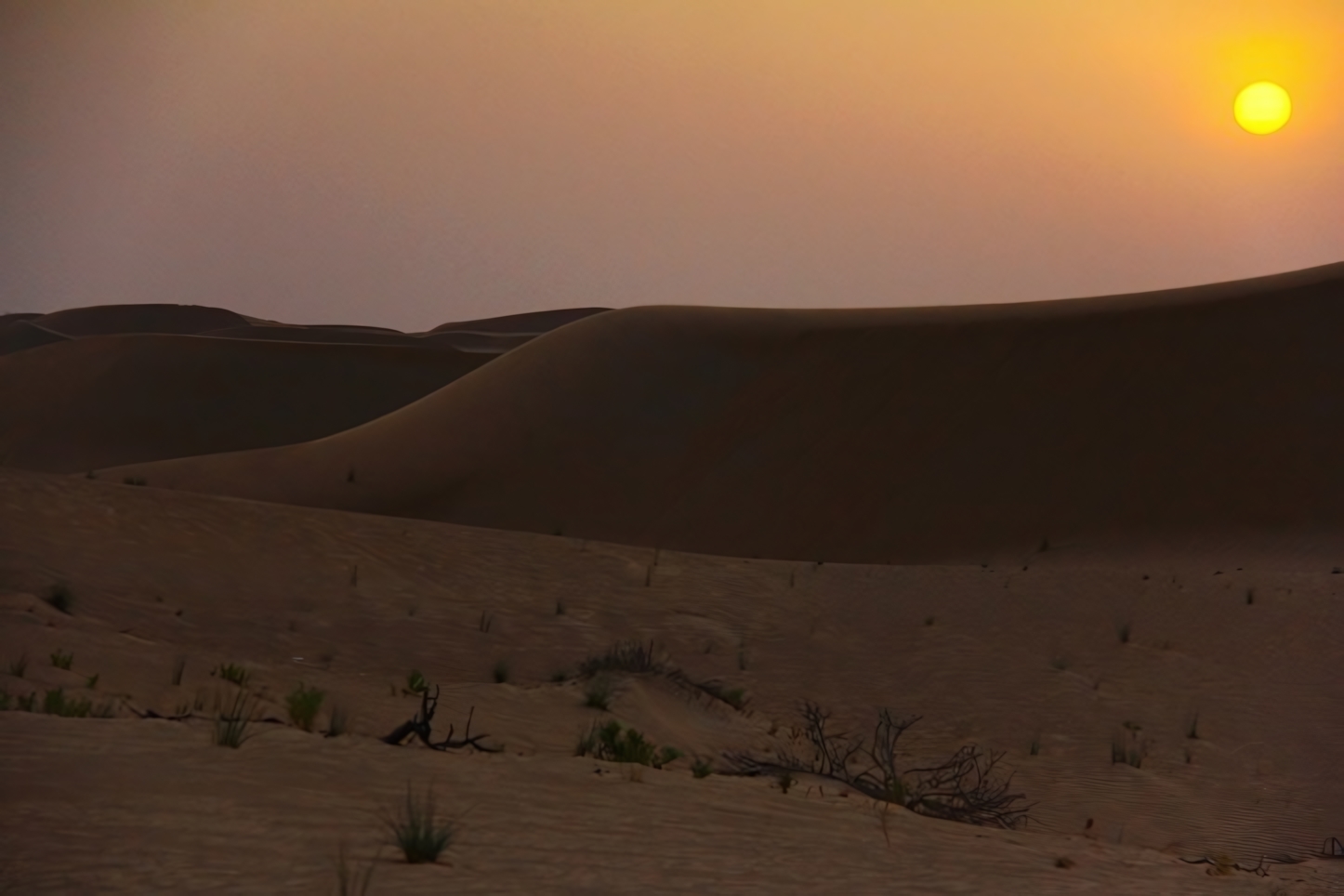 Desert Safari, Abu Dhabi