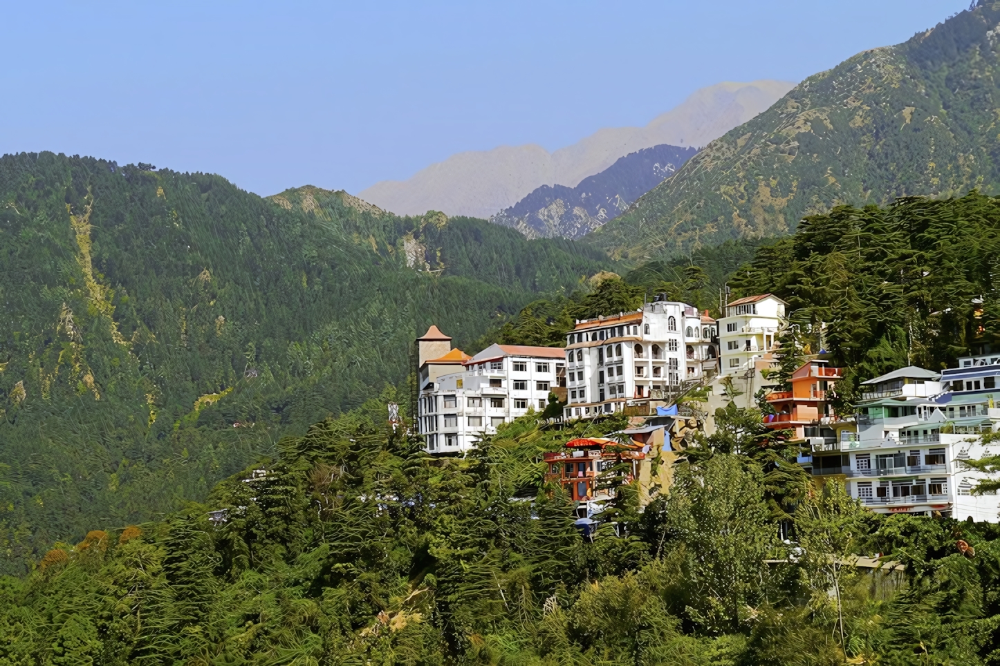 Dharamshala in One Day: Essential Experiences and Must-See Attractions in This Indian Gem