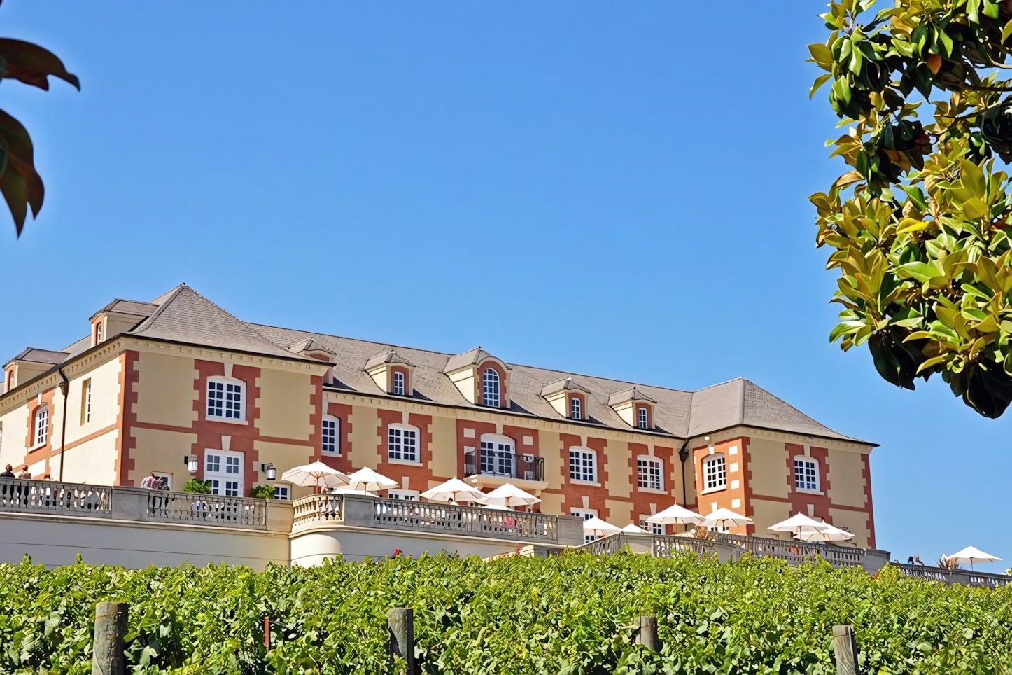 Domaine Carneros