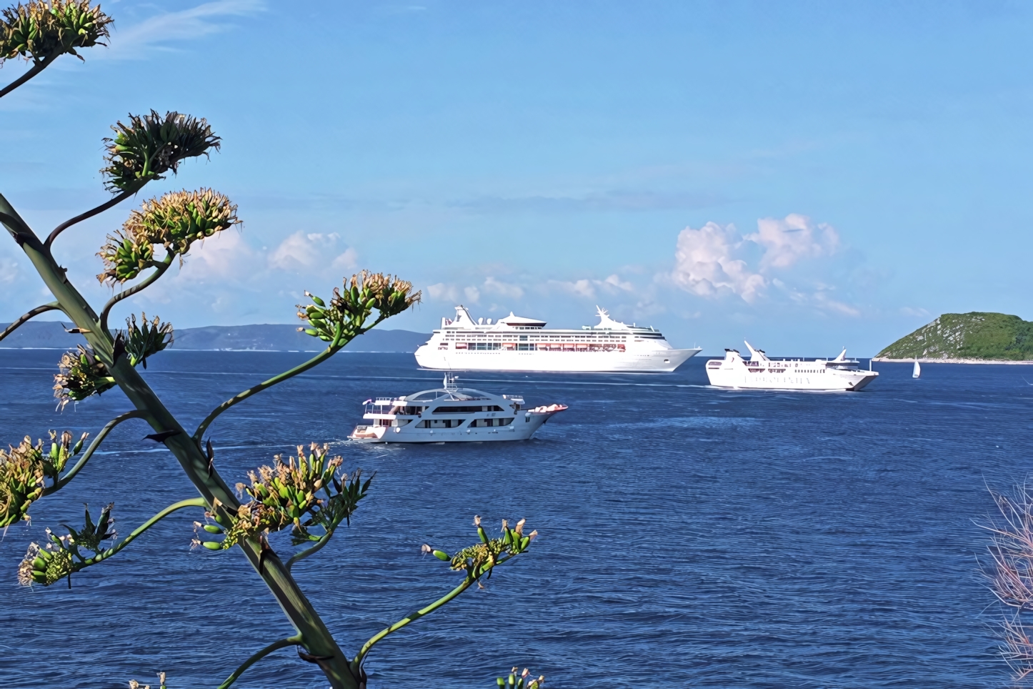 Ferries