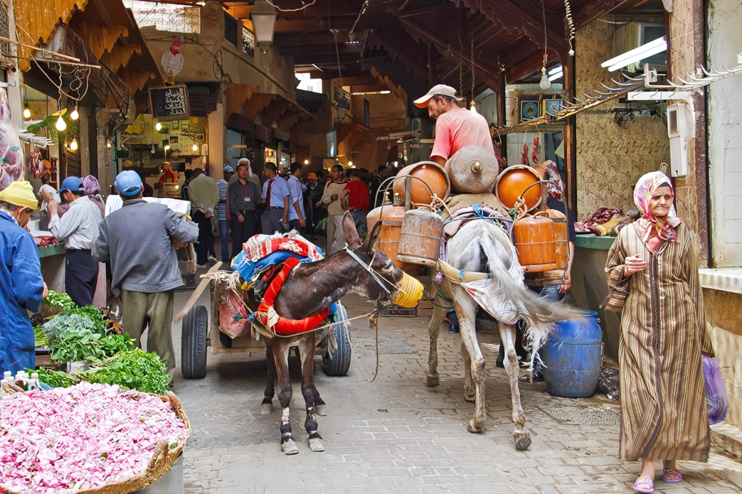 Fes el Bali