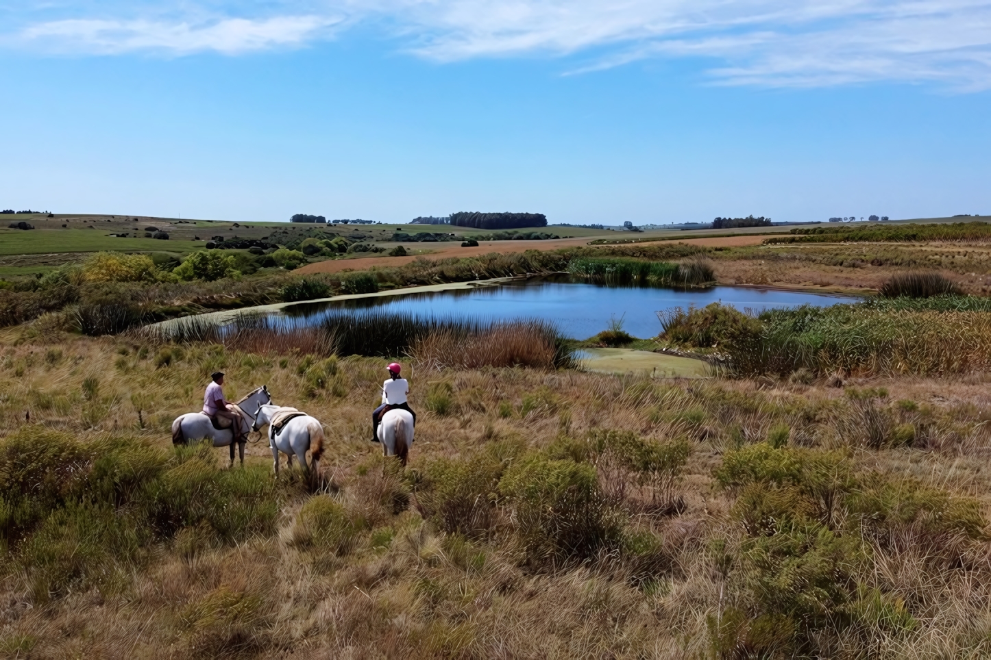 Finca Piedra Horseback riding