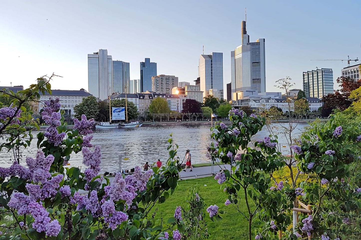 Frankfurt in a Day: Must-See Attractions and Experiences in Germany's Financial Hub