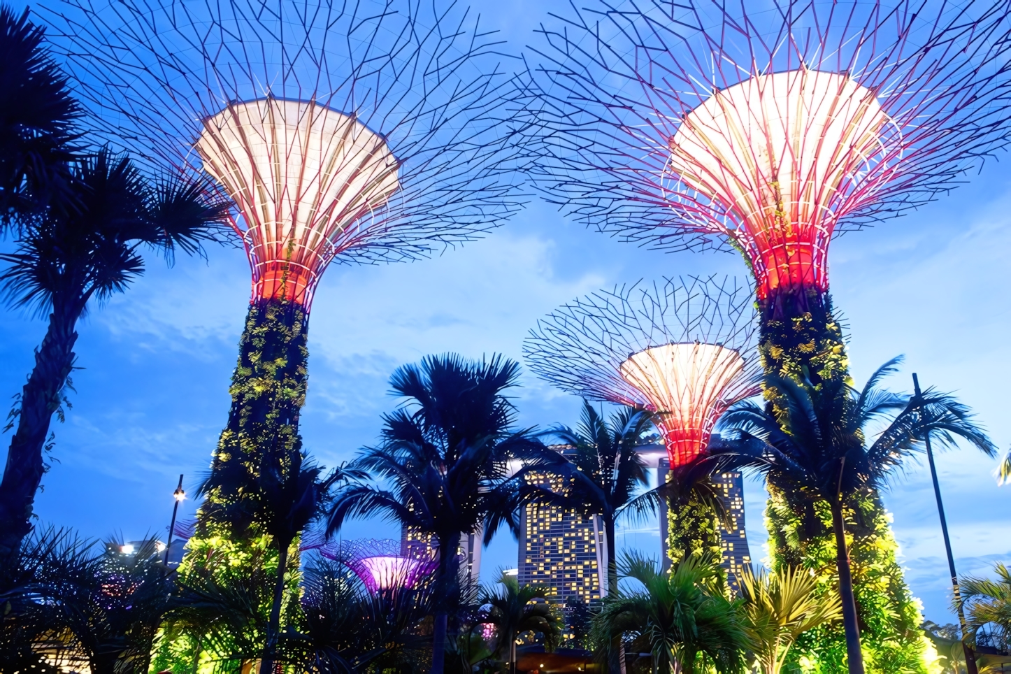 Gardens by the bay Sky Show