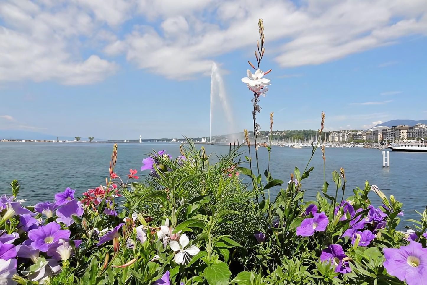 Geneva in a Day: Must-See Attractions and Activities in Switzerland's International Hub