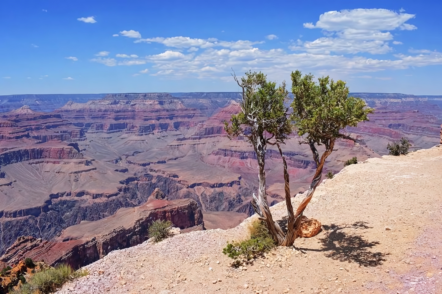 Grand Canyon in One Day: Essential Sights and Activities for Your Arizona Adventure