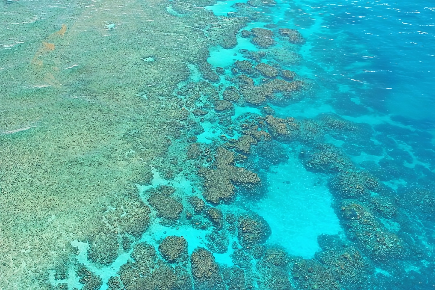 Great Barrier Reef