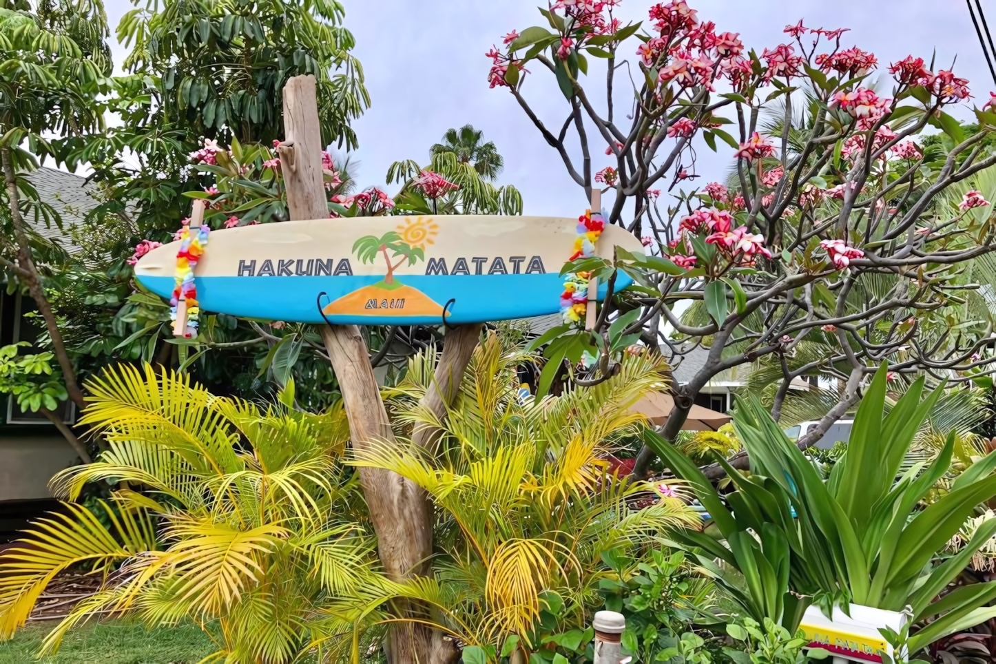 Hakuna Matata Maui Hostel, Lahaina