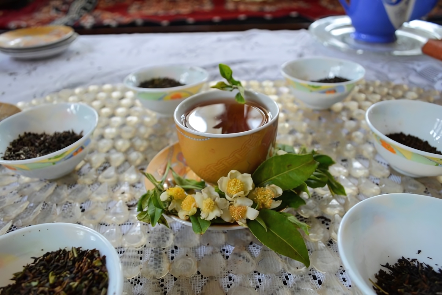 Happy Valley Tea Estate, Darjeeling