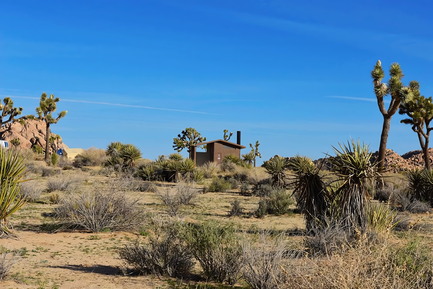 Hidden Valley, Joshua Tree