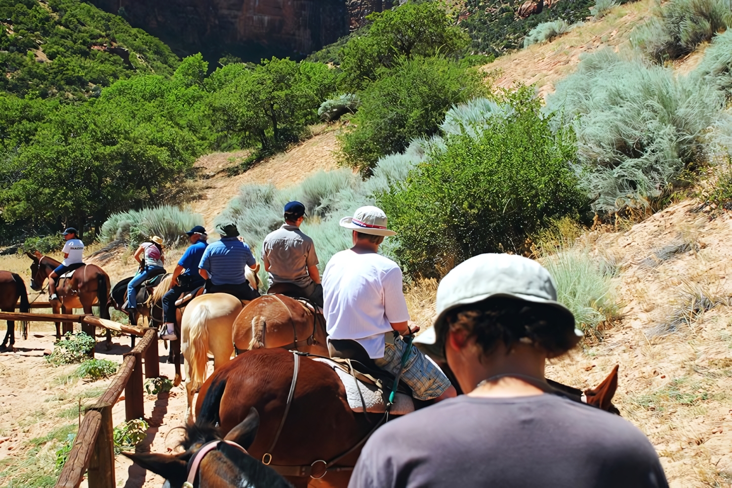 Horseback Riding