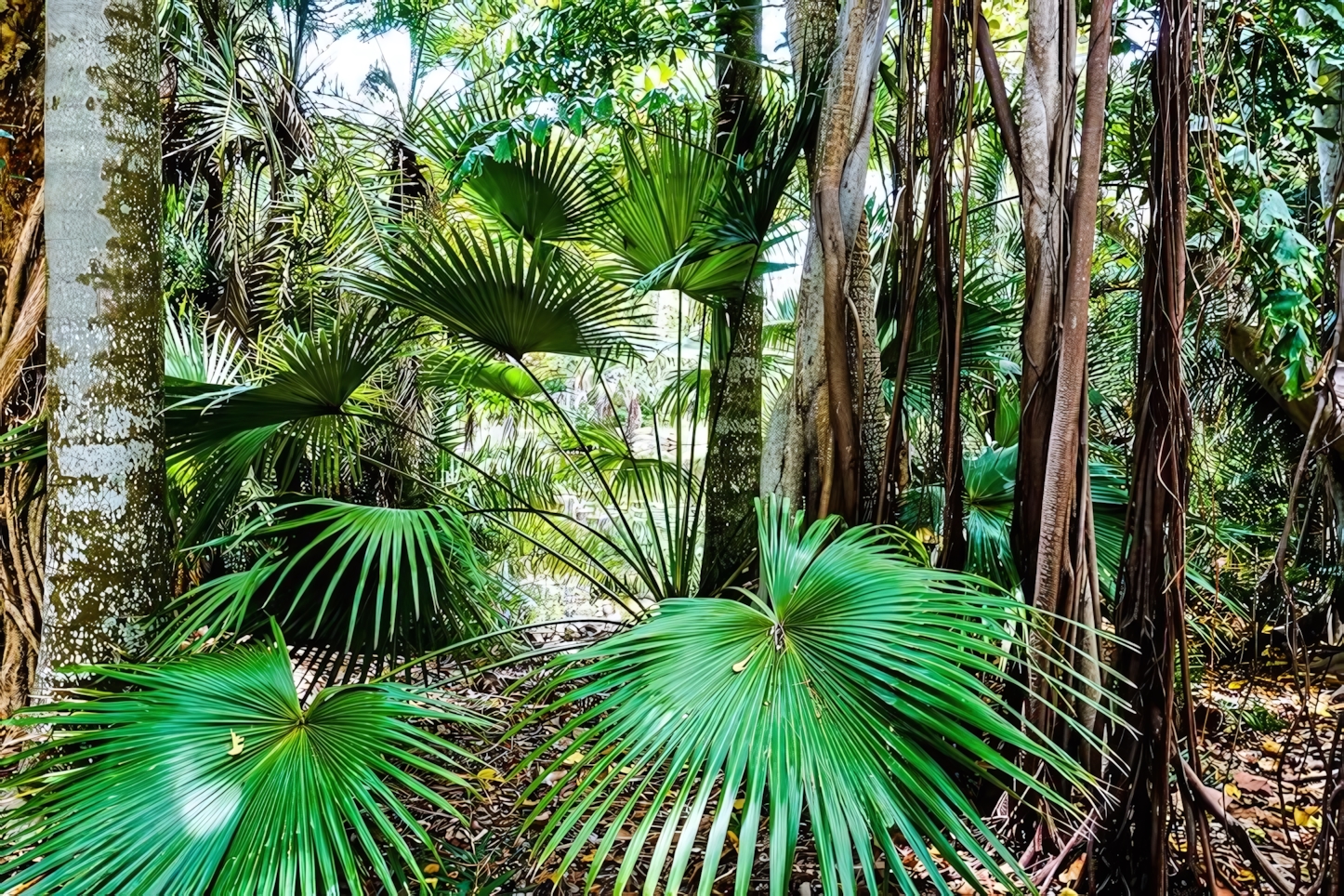 Hugh Taylor Birch State Park