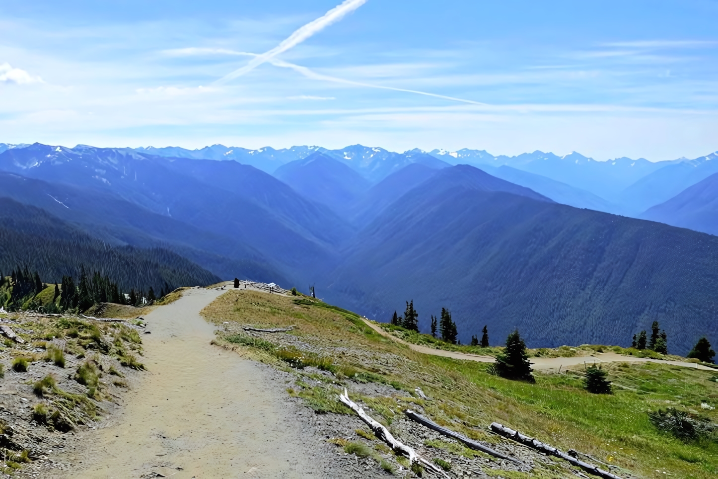 Hurricane Ridge Trail