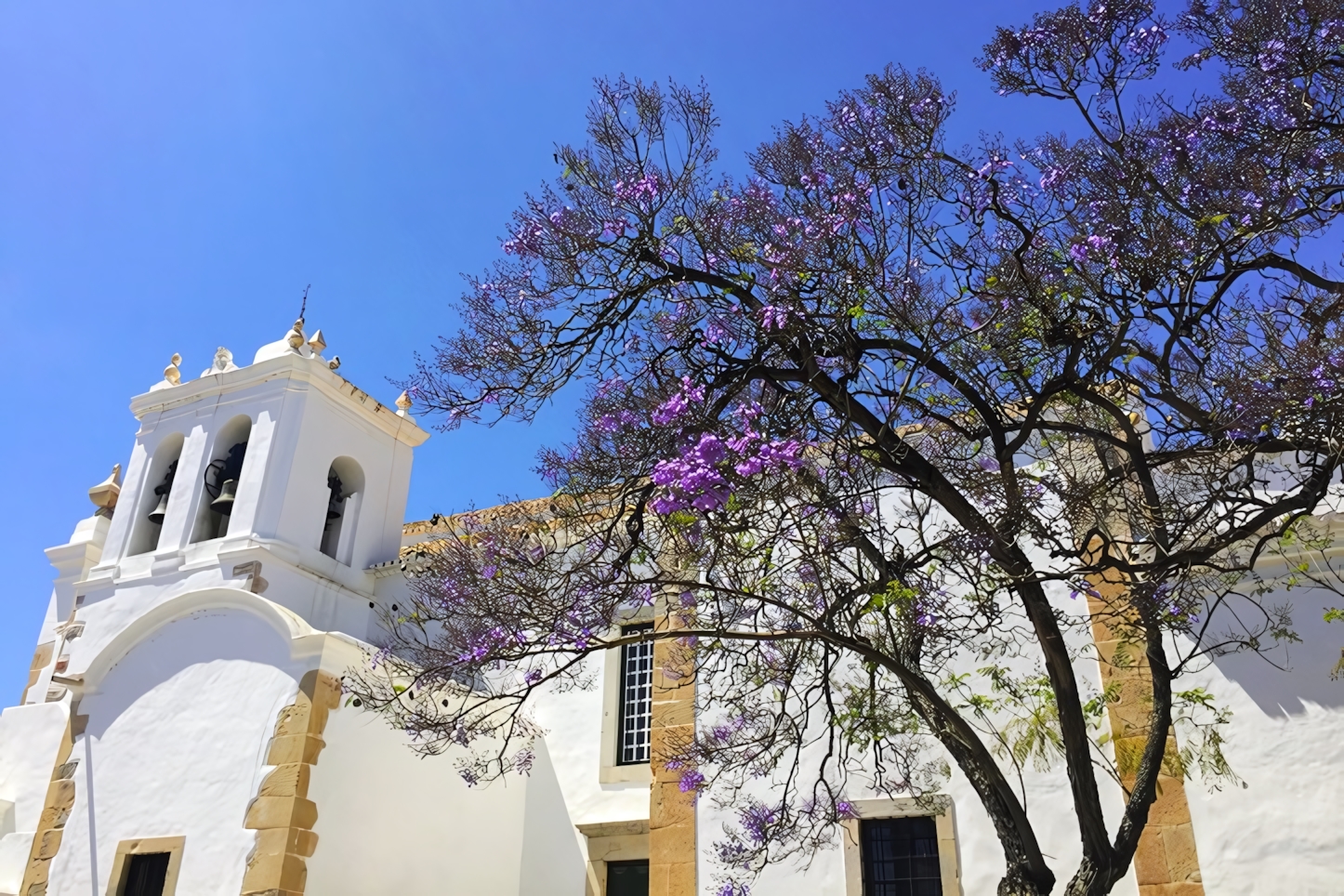 Igreja de Sao Pedro, Faro