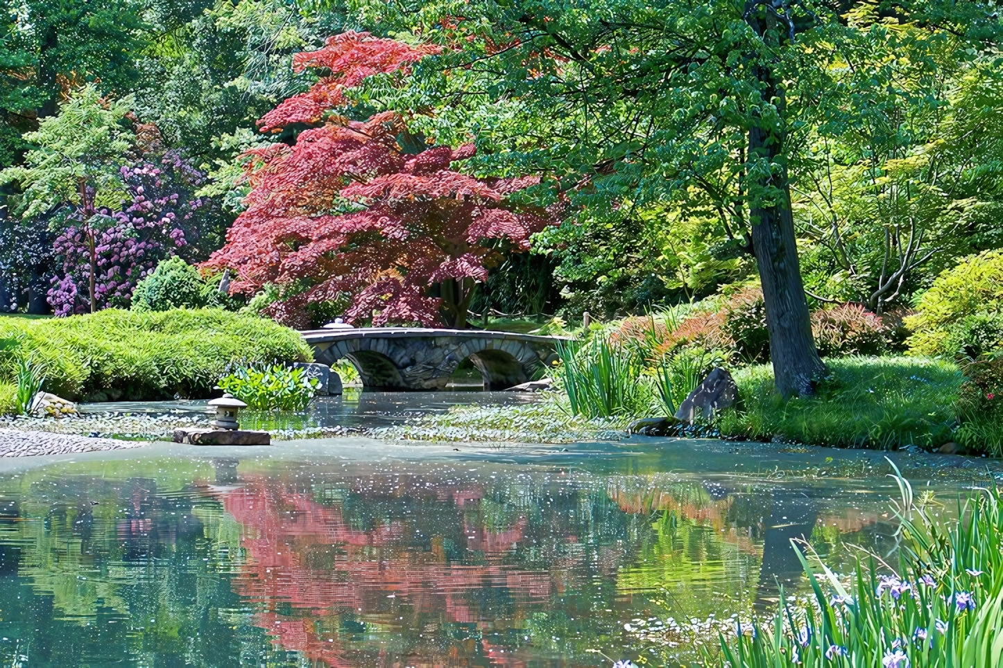 Japanese Garden, Richmond