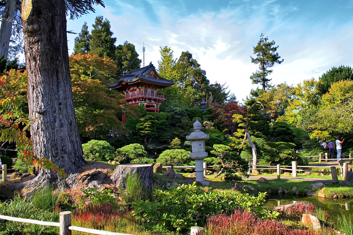 Japanese Tea Garden, San Francisco