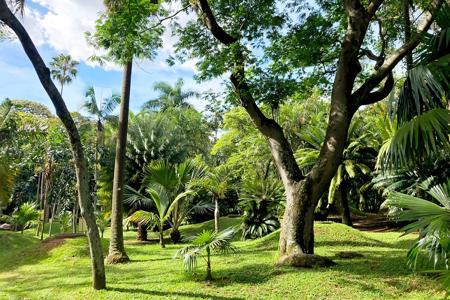 Jardin Botanico, Medellin