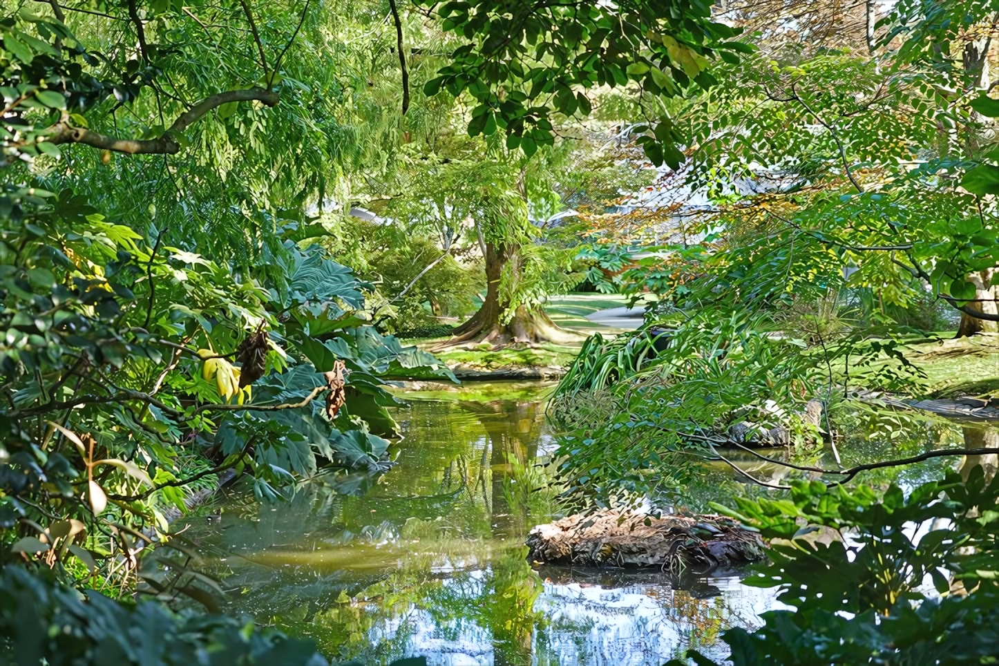 Jardin des Plantes, Nantes 3