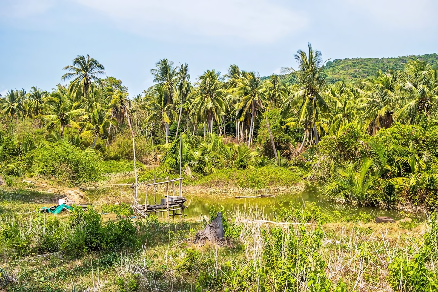 Koh Lanta nature