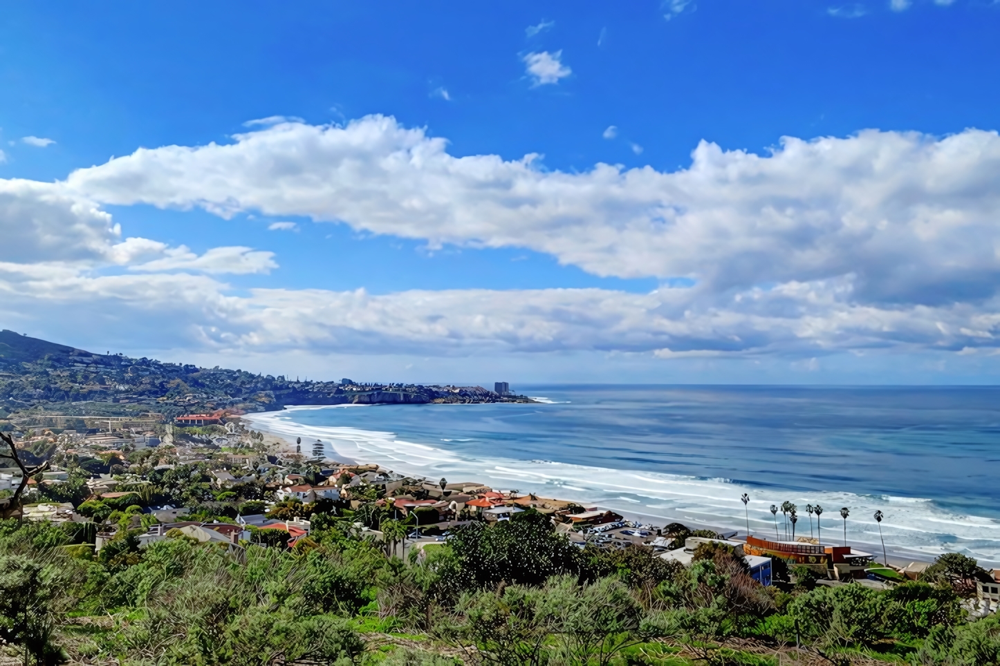 La Jolla in a Day: Must-See Attractions and Activities in this Coastal California Gem