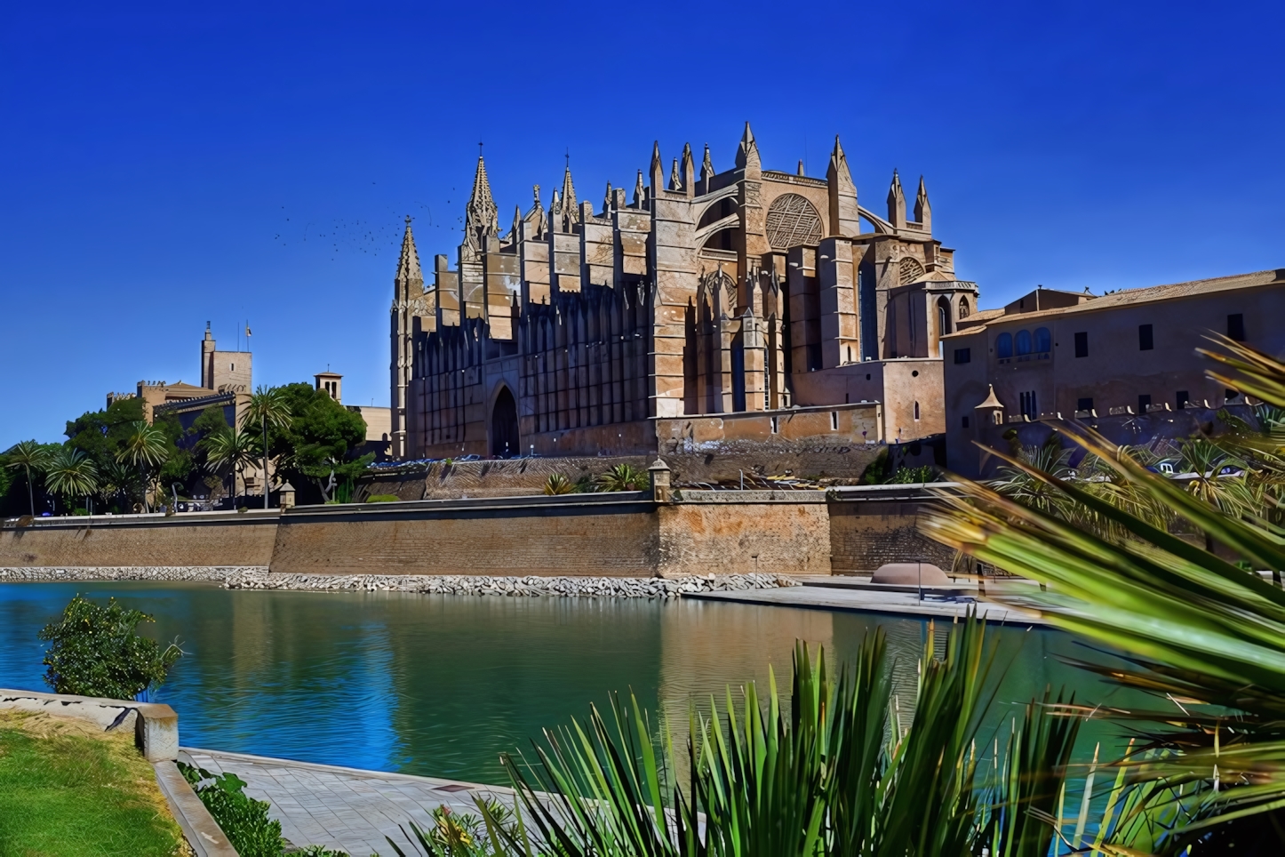 La Seu Cathedral, Palma De Mallorca