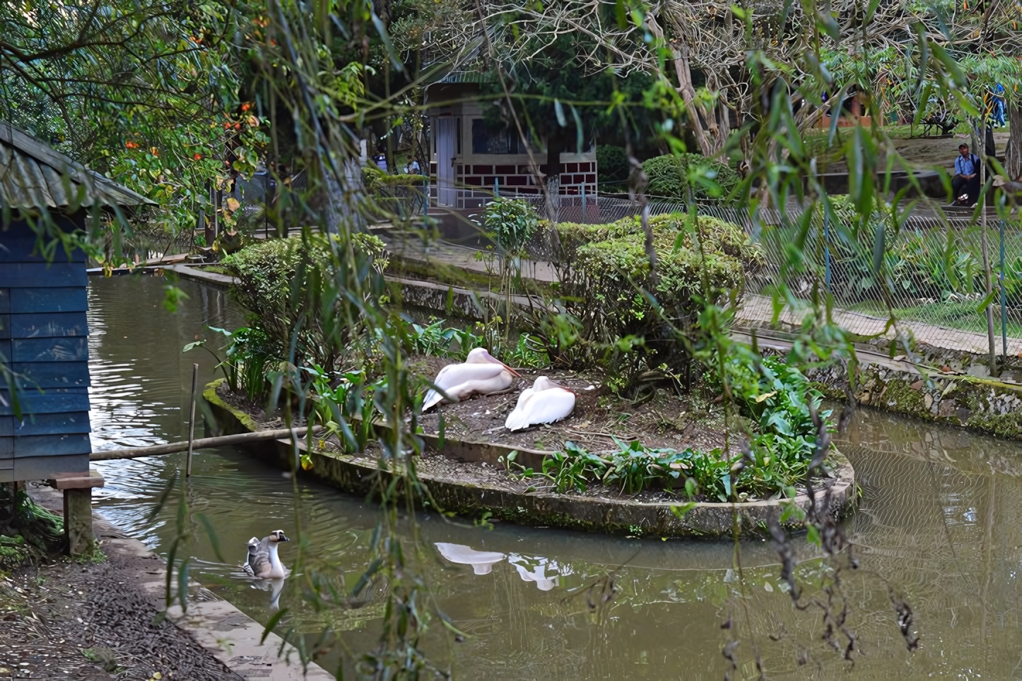 Lady Hydari Park, Shillong