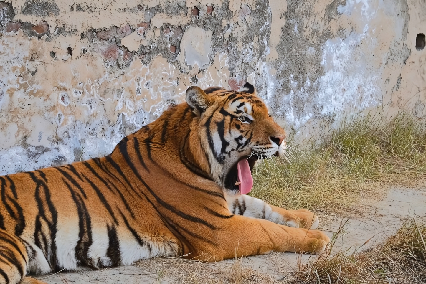 Lahore Zoo