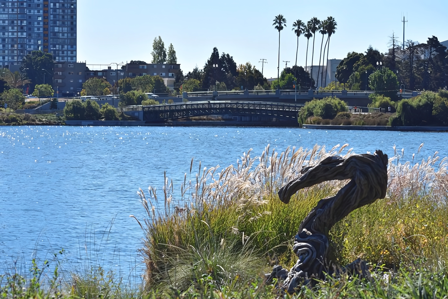 Lake Merritt, Oakland