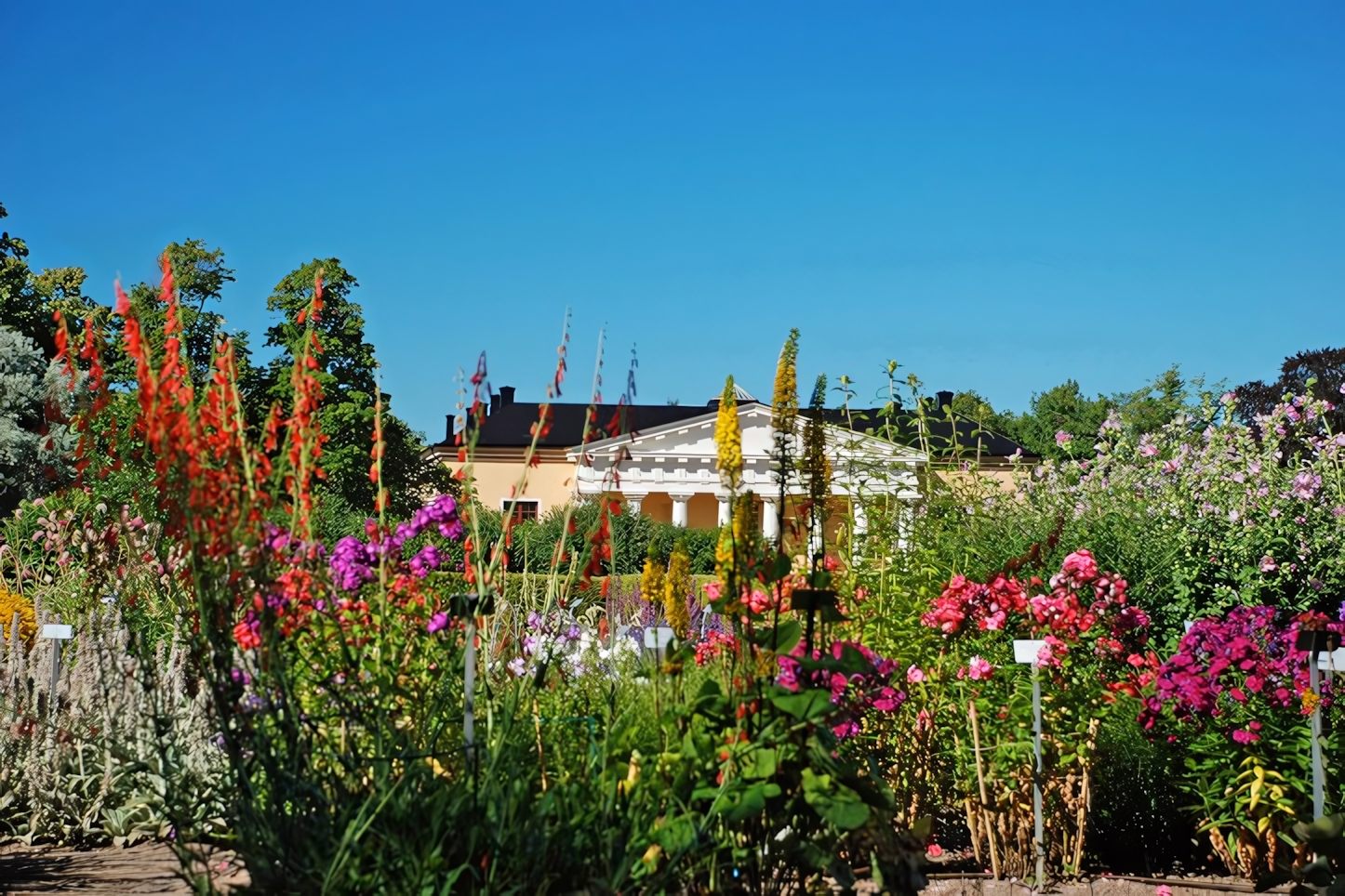 Linneanum Botanical Garden, Uppsala